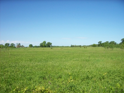 5 Acre Building Site Oxford WI Lot 12 - image 4