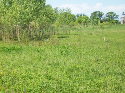 5 Acre Building Site Oxford WI Lot 12 - image 5