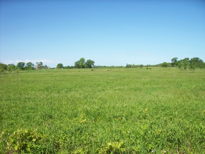 5 Acre Building Site Oxford WI Lot 12 - image 1