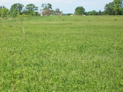 5 Acre Building Site Oxford WI Lot 12 - image 3