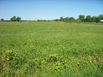 5 Acre Building Site Oxford WI Lot 12 - image 2