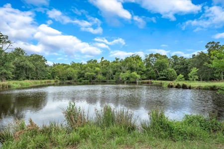 Ranch With Acreage For Sale In Athens, Texas - image 31