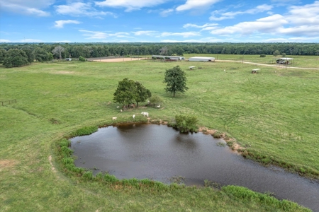 Ranch With Acreage For Sale In Athens, Texas - image 6