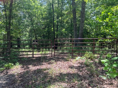 Acreage For Sale in Salem Arkansas - image 5