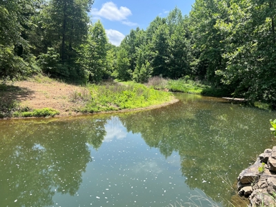 Acreage For Sale in Salem Arkansas - image 6