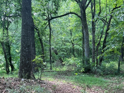 Acreage For Sale in Salem Arkansas - image 7