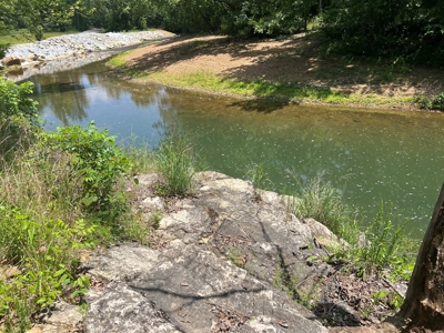 Acreage For Sale in Salem Arkansas - image 4