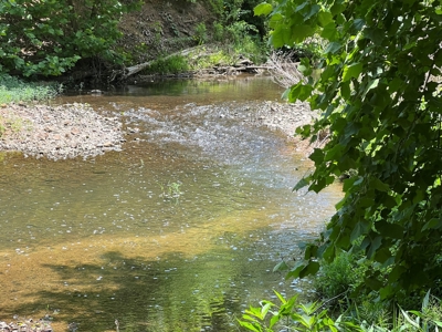 Acreage For Sale in Salem Arkansas - image 3