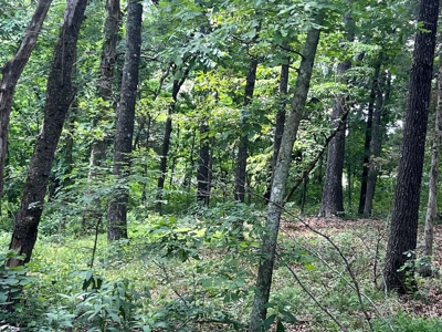 Acreage For Sale in Salem Arkansas - image 8