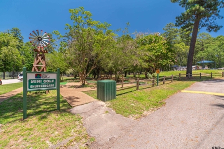 3/2/1 Holly Lake Ranch, Texas - Wood County - East Of Dallas - image 43