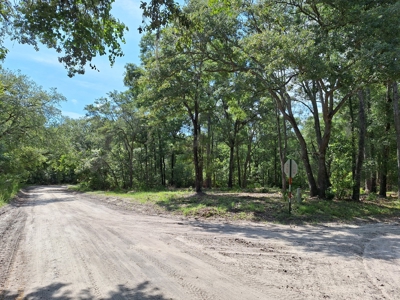 Nice Corner Lot Near Fanning Springs And The Suwannee River - image 6