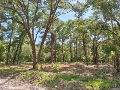 Nice Corner Lot Near Fanning Springs And The Suwannee River - image 1