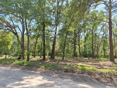 Nice Corner Lot Near Fanning Springs And The Suwannee River - image 2
