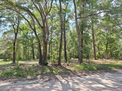 Nice Corner Lot Near Fanning Springs And The Suwannee River - image 3