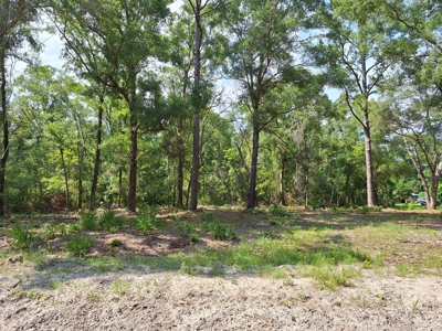Nice Corner Lot Near Fanning Springs And The Suwannee River - image 5