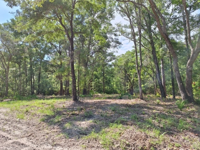Nice Corner Lot Near Fanning Springs And The Suwannee River - image 4