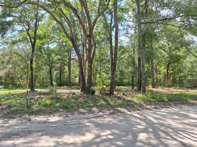 Nice Corner Lot Near Fanning Springs And The Suwannee River - image 7