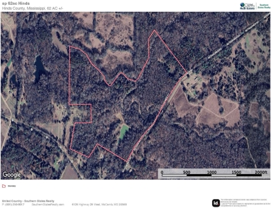 Turn Key Small Hunting Tract in Hinds County - image 34