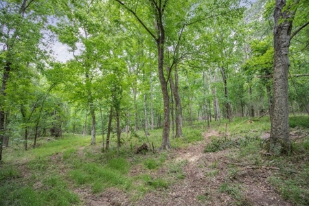 Turn Key Small Hunting Tract in Hinds County - image 16