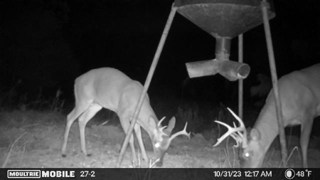 Turn Key Small Hunting Tract in Hinds County - image 2