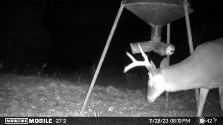 Turn Key Small Hunting Tract in Hinds County - image 29