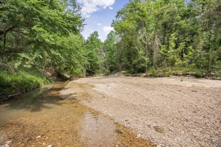 Turn Key Small Hunting Tract in Hinds County - image 13