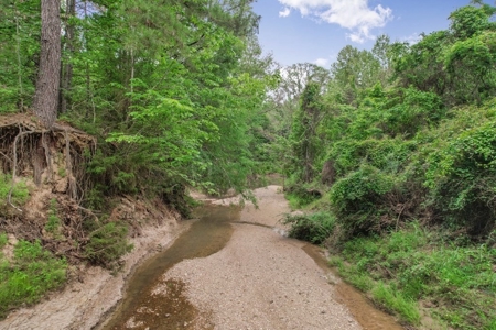 Turn Key Small Hunting Tract in Hinds County - image 24