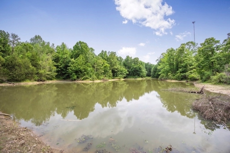 Turn Key Small Hunting Tract in Hinds County - image 9