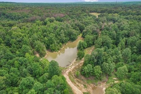 Turn Key Small Hunting Tract in Hinds County - image 22
