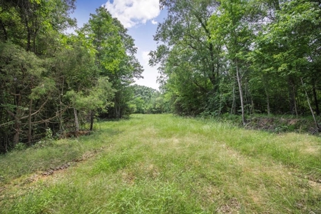 Turn Key Small Hunting Tract in Hinds County - image 28