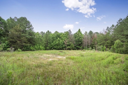 Turn Key Small Hunting Tract in Hinds County - image 15