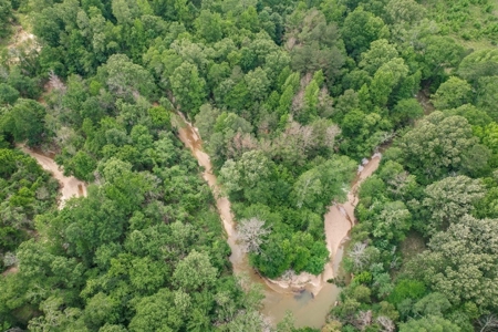 Turn Key Small Hunting Tract in Hinds County - image 26