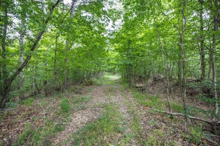 Turn Key Small Hunting Tract in Hinds County - image 5