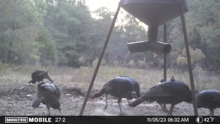 Turn Key Small Hunting Tract in Hinds County - image 32
