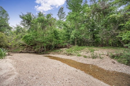Turn Key Small Hunting Tract in Hinds County - image 12