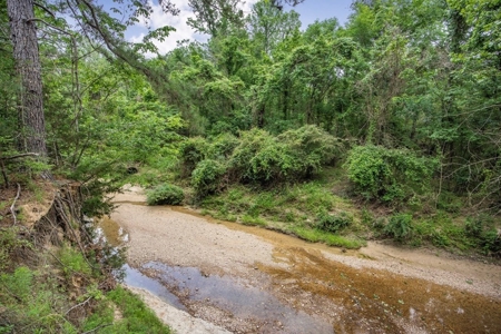 Turn Key Small Hunting Tract in Hinds County - image 6