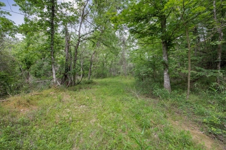 Turn Key Small Hunting Tract in Hinds County - image 10