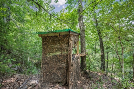 Turn Key Small Hunting Tract in Hinds County - image 3