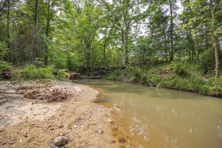 Turn Key Small Hunting Tract in Hinds County - image 8