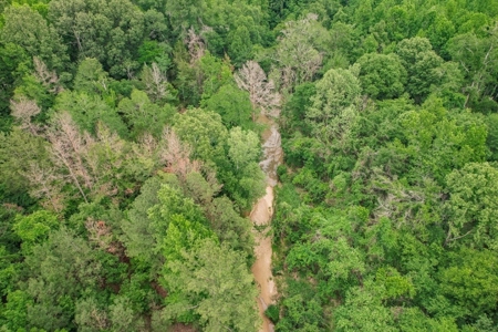 Turn Key Small Hunting Tract in Hinds County - image 25