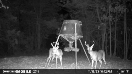 Turn Key Small Hunting Tract in Hinds County - image 31