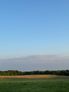 coody creek ranch - image 30