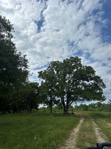 coody creek ranch - image 13