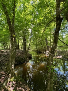 coody creek ranch - image 22