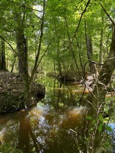coody creek ranch - image 21