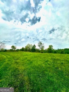coody creek ranch - image 31