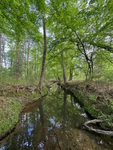 coody creek ranch - image 19