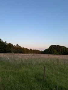 coody creek ranch - image 10