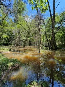 coody creek ranch - image 34