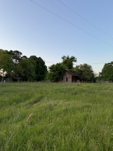 coody creek ranch - image 7